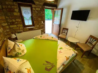 a room with a green table with chairs and a television at Holiday park Hajducka cesma in Dubovsko