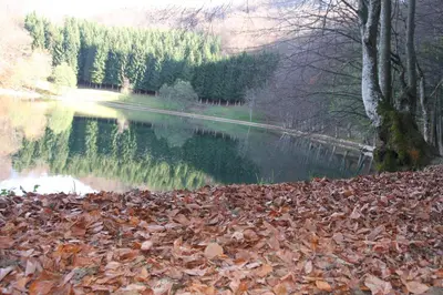 a view of a river with leaves on the ground at Hotel Balkana Vidović in Mrkonjić Grad