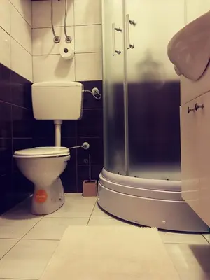 a bathroom with a toilet and a shower at Vikend Kuća Iman in Vlasic