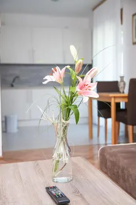 a vase of flowers on a table with a remote control at Apartments Konak in Visoko
