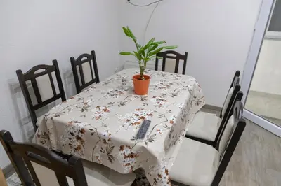 a table with a potted plant on top of it at Apartments Aqua Resa in Bihać