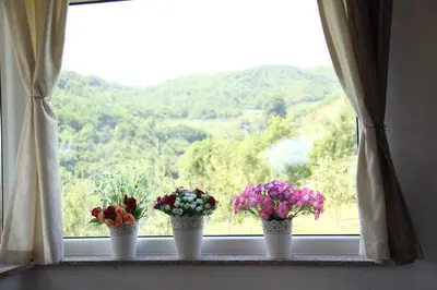 three flowers in vases sitting on a window sill at Villa Meli in Visoko