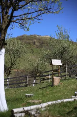 a wooden fence with a bird feeder in a field at Forest Lodge on the Pyramid in Visoko