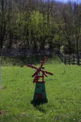 a small windmill in the grass in a field at Forest Lodge on the Pyramid in Visoko