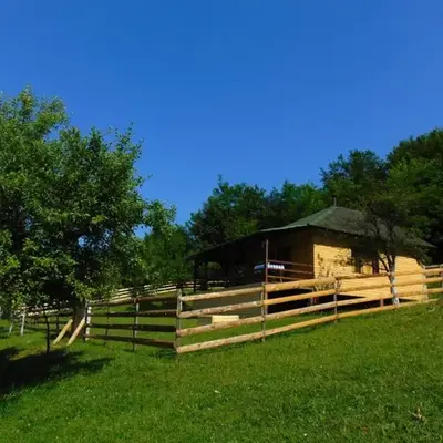 Forest Lodge on the Pyramid
