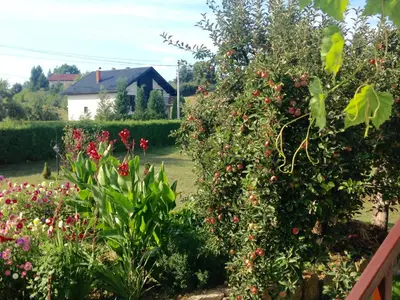 a garden with a bunch of cherries on a tree at Apartments Kenedy in Kiseljak