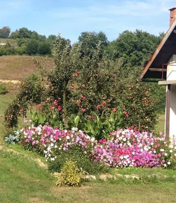 a garden of flowers in front of a house at Apartments Kenedy in Kiseljak
