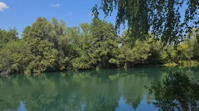 a body of water with trees in the background at Hana Superior Apartments in Bihać