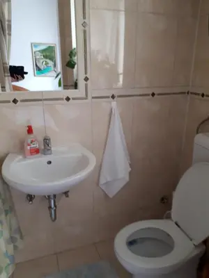 a bathroom with a sink and a toilet at Apartment Sun in Visoko