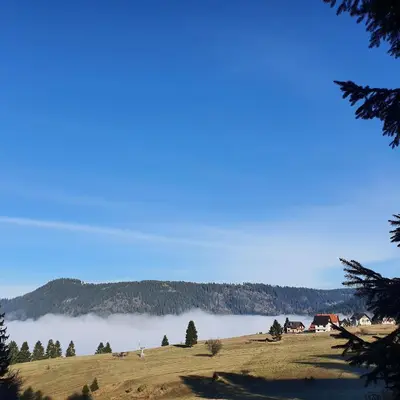 a view of a lake from a hill with trees at Chalet The Best View in Vlasic