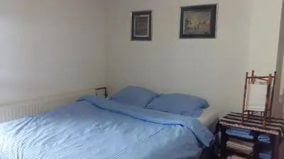 a bedroom with a bed with blue sheets and two pictures at Chalet The Best View in Vlasic