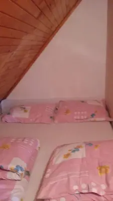 two bunk beds in a room with pink sheets at Chalet The Best View in Vlasic