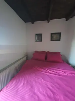 a bedroom with a pink bed with two pink pillows at Chalet The Best View in Vlasic
