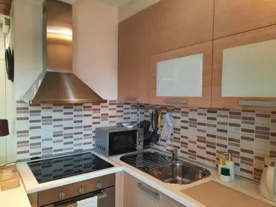 a kitchen with a sink and a microwave at Apartman Ena in Vlasic