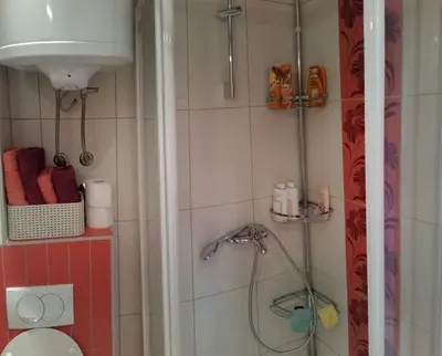 a bathroom with a shower and a toilet at Apartman Ena in Vlasic