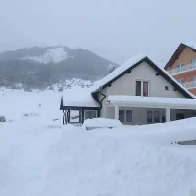 Apartments Herc