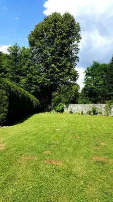 a field of grass with a tree and a wall at Holiday Home Oaza Mira in Visoko