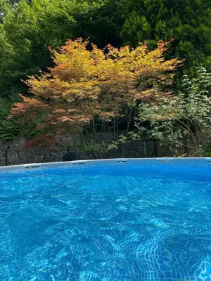 a large blue swimming pool with trees in the background at Holiday Home Oaza Mira in Visoko