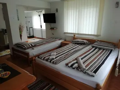 two twin beds in a room with a television at Apartment Beganovic in Kulen Vakuf