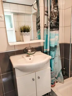 a bathroom with a sink and a shower at Apartment Beganovic in Kulen Vakuf