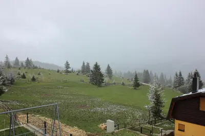 a green field with trees on a hill at Apartments Zoni in Vlasic