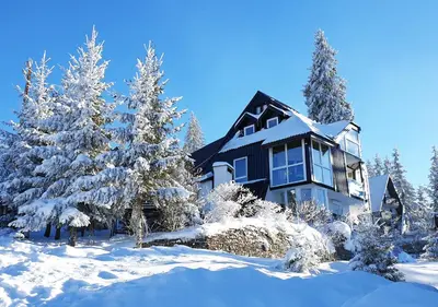 a house in the snow with snow covered trees at Apartments Panda in Vlasic