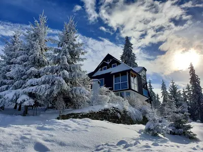 a house in the snow with snow covered trees at Apartments Panda in Vlasic