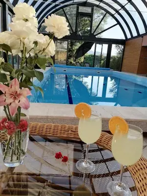 two glasses of wine on a table next to a swimming pool at Deluxe Villa Coast River Sarajevo in Visoko