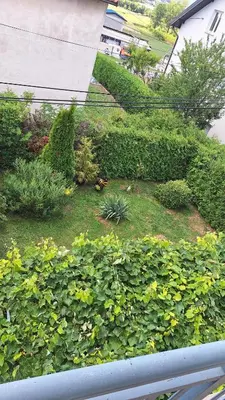 an aerial view of a garden with plants at Apartman Anita in Livno