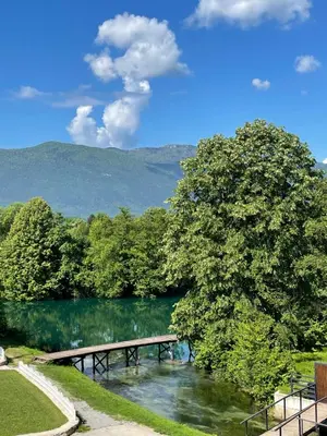 a bridge over a body of water with a tree at Apartment Vila Tara in Bihać