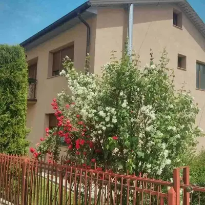 House Leyla