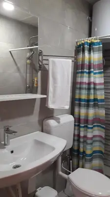 a bathroom with a sink and a toilet and a shower curtain at Honey Apartments in Visoko