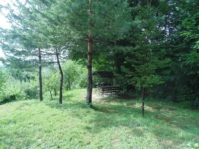 a gazebo in the middle of a field with trees at Holiday Home Alibegović in Visoko