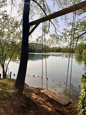 a swing hanging from a tree in front of a lake at Apartment Green Lagoon in Bihać