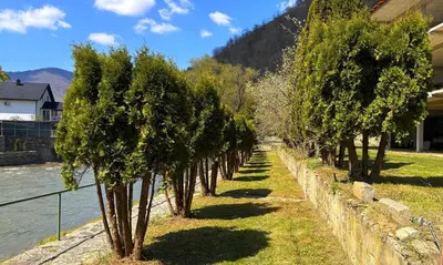 a row of trees on the side of a river at holiday home RIVER HOUSE in Jajce