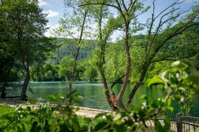 a view of a lake with trees in the foreground at Holiday Home Faruk in Račić