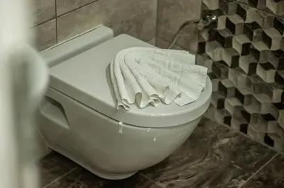 a towel sitting on top of a toilet in a bathroom at Apartments Bašić in Visoko