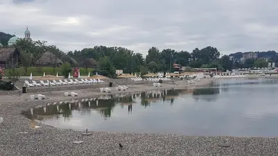 a group of birds sitting on the shore of a body of water at Apartman Banja - Tuzla in Tuzla