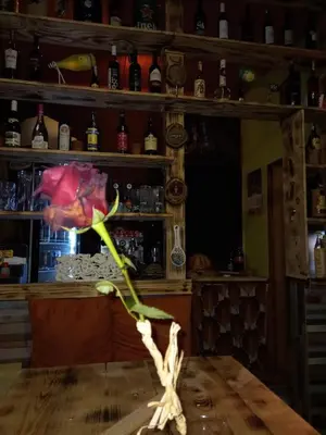 a flower sitting on top of a wooden table at Holiday Home Nature Neno in Visoko