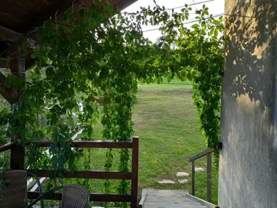 a view from the porch of a house with a bunch of grape vines at Country House Roman in Doboj