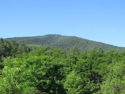 a mountain in the distance with trees in the foreground at Country House Roman in Doboj