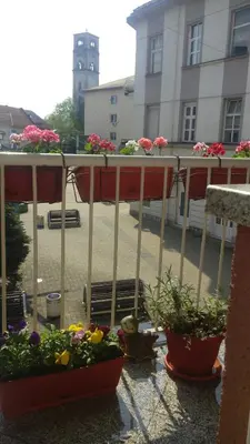 a group of flowers in pots on a balcony at Apartment Sarah in Bihać