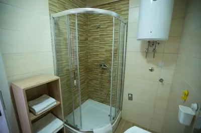 a bathroom with a shower with a toilet and a sink at Jelena Apartment in Doboj