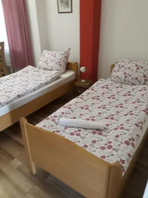 two twin beds in a bedroom with flowers on them at Apartments Emir in Tuzla