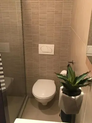 a bathroom with a toilet and a plant in it at Apartment Adi in Travnik