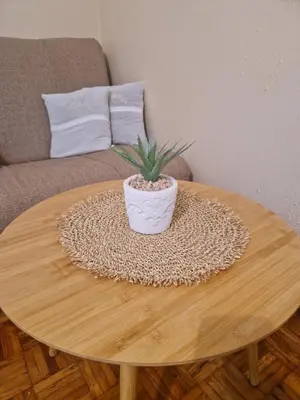 a wooden table with a potted plant on it at Guesthouse Irac in Tuzla