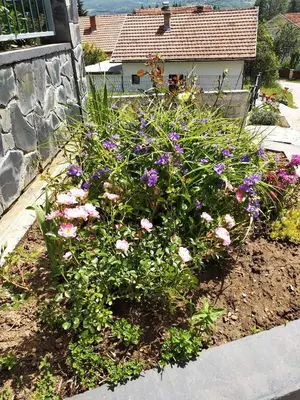 a flower garden with pink and purple flowers at Holiday Home Nana in Bugojno