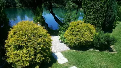 a garden with two bushes and a path by the water at Natural Cottage Una in Bihać