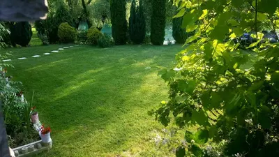 a yard with green grass and trees and a field at Natural Cottage Una in Bihać
