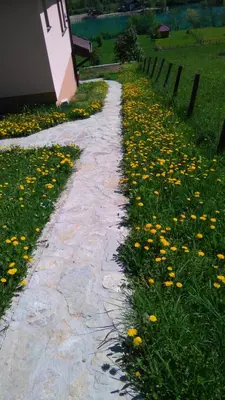 a stone path in a field with yellow flowers at Kuća za odmor Panorama Lohovo Bihać in Bihać